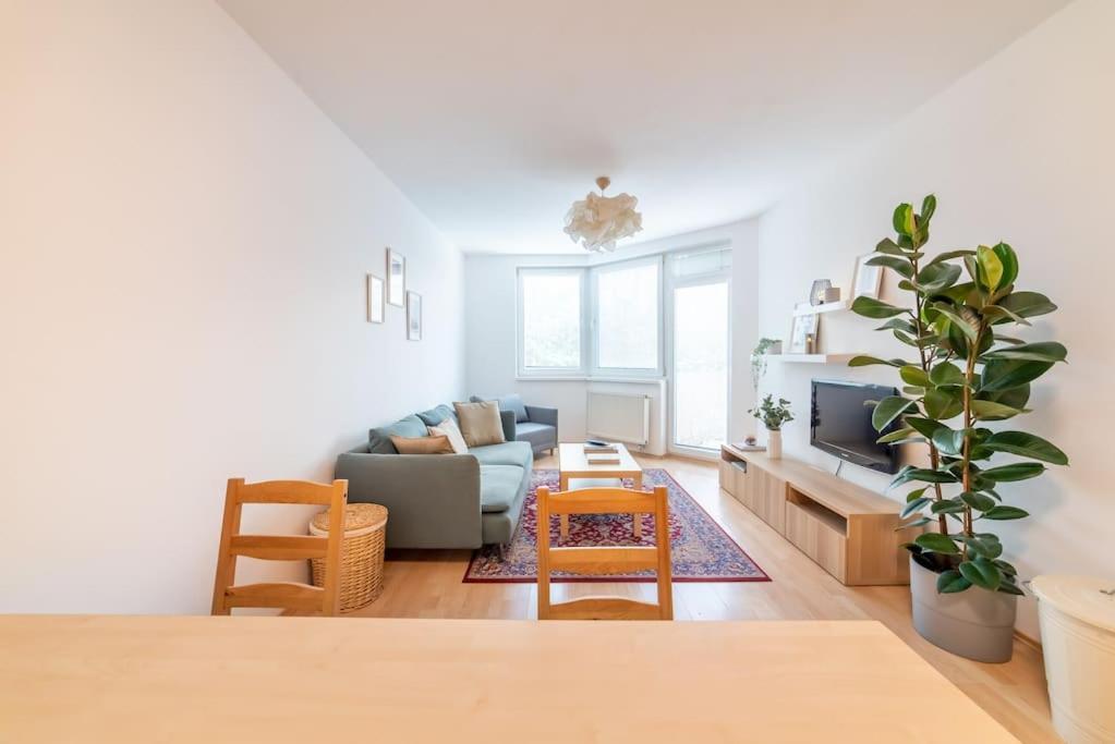 Grape Apartment 布拉迪斯拉发 外观 照片